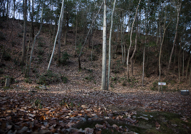 f:id:yamahito88:20220103175209j:plain