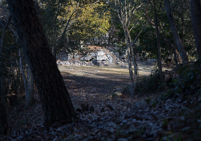 f:id:yamahito88:20220103175341j:plain