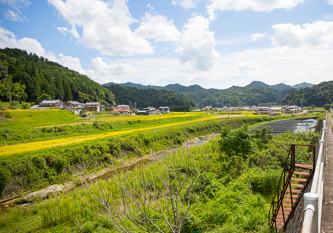 世羅西町誌◆世羅西町、平成3年/Y031 世羅西町誌◇世羅西町、平成3年/Y031 （西国三十三所巡礼【2022