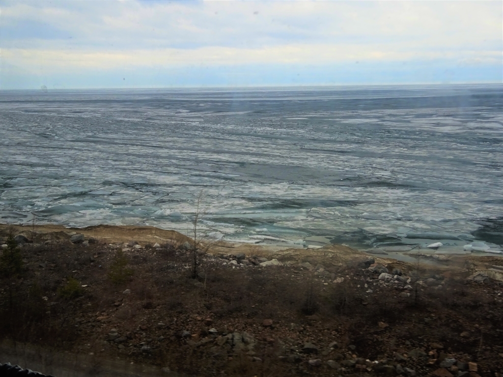 f:id:yamaichi-oyama:20190120211204j:plain f:id:yamaichi-oyama:20190120211204j:plain