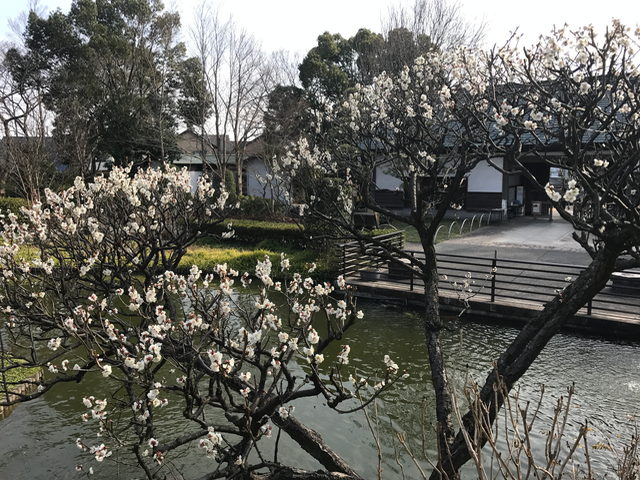 f:id:yamaimo0625:20170302212119p:plain