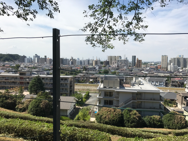 f:id:yamaimo0625:20170718003546p:plain