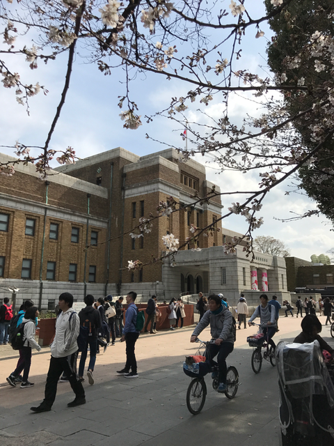 f:id:yamaimo0625:20180325192910p:plain