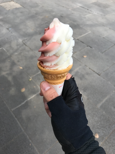 f:id:yamaimo0625:20180325192926p:plain