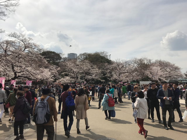 f:id:yamaimo0625:20180325193035p:plain