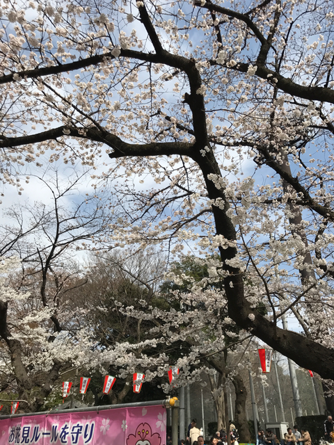 f:id:yamaimo0625:20180325193058p:plain