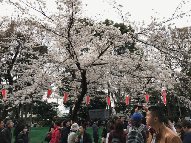 f:id:yamaimo0625:20180325193140p:plain