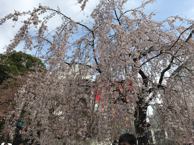 f:id:yamaimo0625:20180325193214p:plain