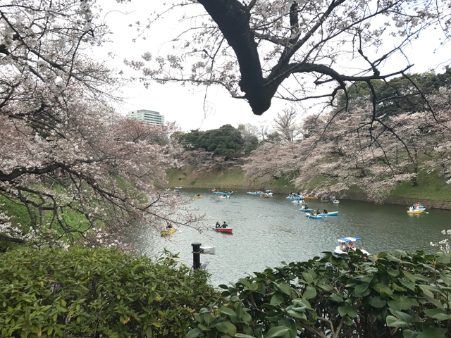 f:id:yamaimo0625:20180325194529p:plain