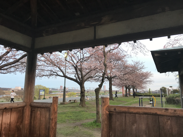 f:id:yamaimo0625:20180325195944p:plain