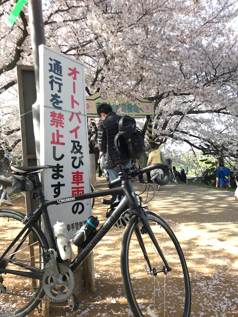 f:id:yamaimo0625:20180401192829p:plain