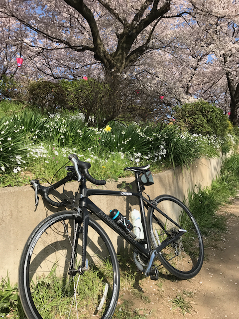 f:id:yamaimo0625:20180401192905p:plain
