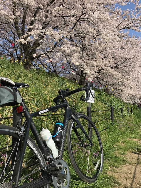 f:id:yamaimo0625:20180401192938p:plain