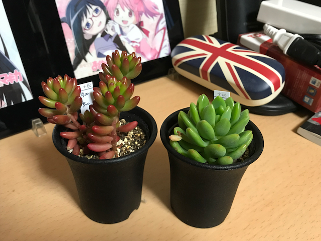 f:id:yamaimo0625:20190416000219p:plain f:id:yamaimo0625:20190416000219p:plain