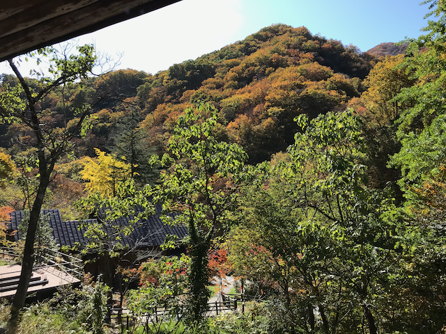 f:id:yamaimo0625:20191114075026p:plain f:id:yamaimo0625:20191114075026p:plain