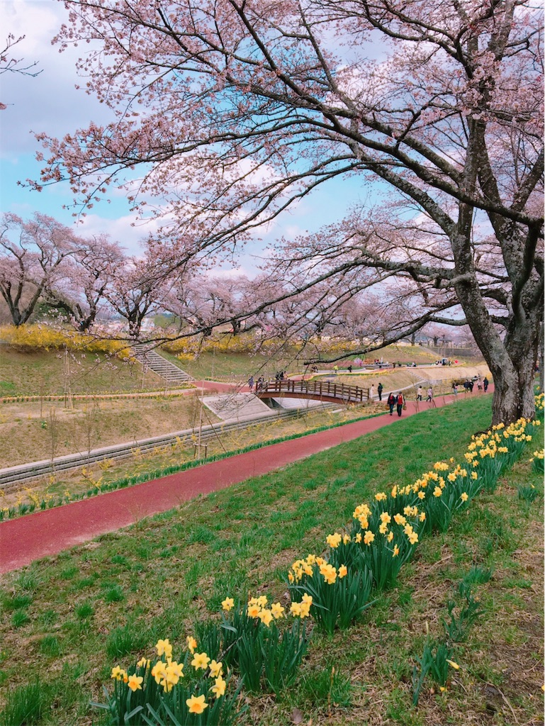 f:id:yamaiririy:20190523005706j:image