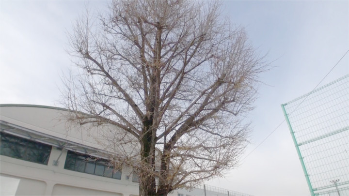 f:id:yamajikai:20141214163353j:image:w360 f:id:yamajikai:20141214163353j:image:w360