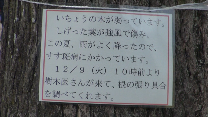 f:id:yamajikai:20141214163354j:image:w360 f:id:yamajikai:20141214163354j:image:w360