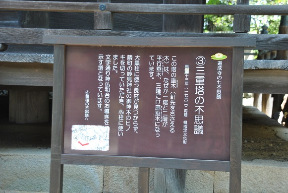 イメージ 23