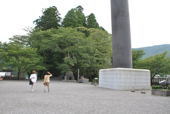 イメージ 5