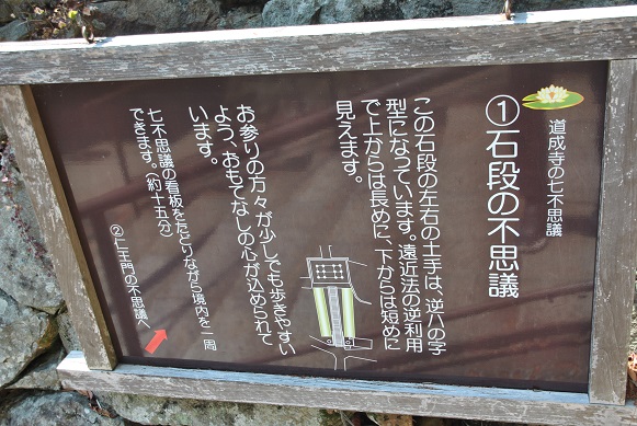 イメージ 8