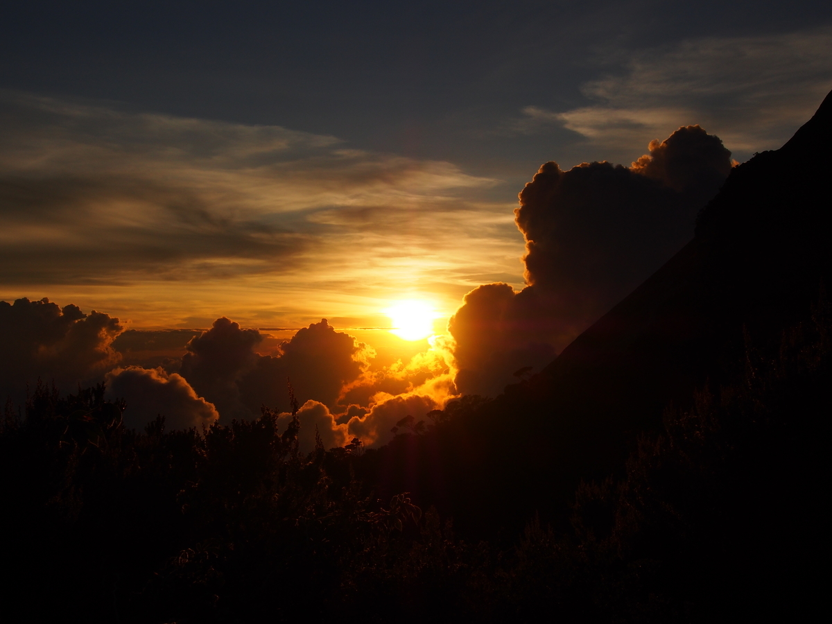f:id:yamajoshi:20190318214535j:plain f:id:yamajoshi:20190318214535j:plain