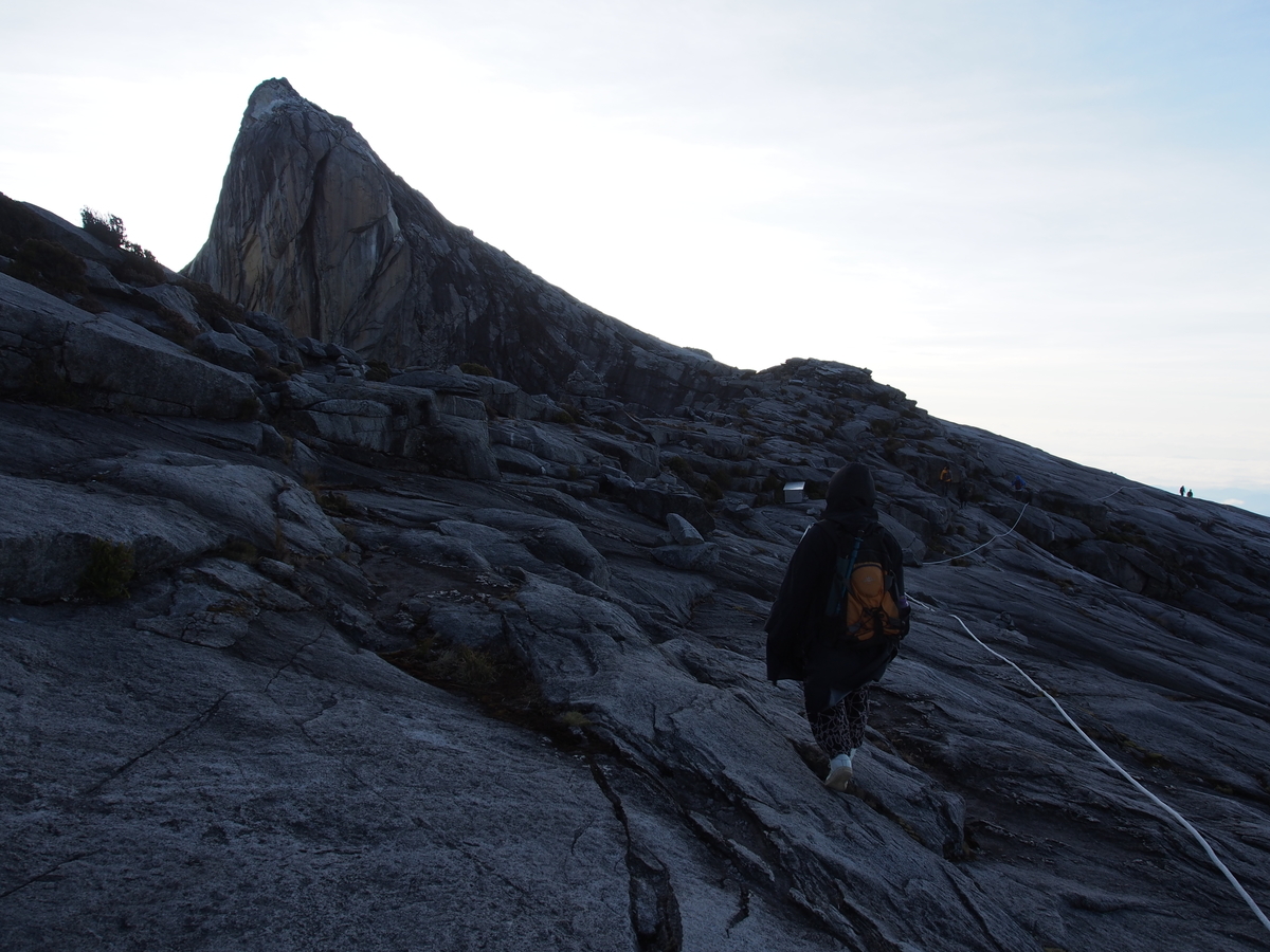f:id:yamajoshi:20190320231948j:plain f:id:yamajoshi:20190320231948j:plain