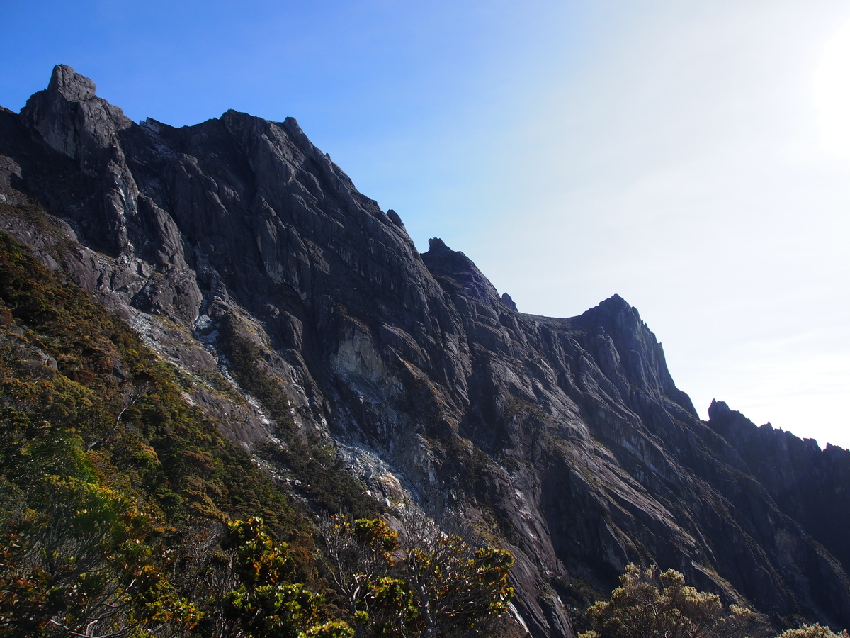 f:id:yamajoshi:20190321104702j:plain f:id:yamajoshi:20190321104702j:plain