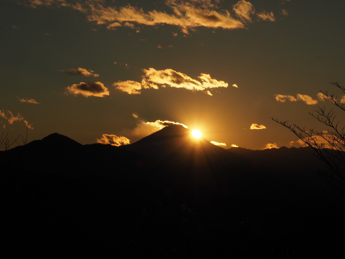 f:id:yamajoshi:20210224171307j:plain