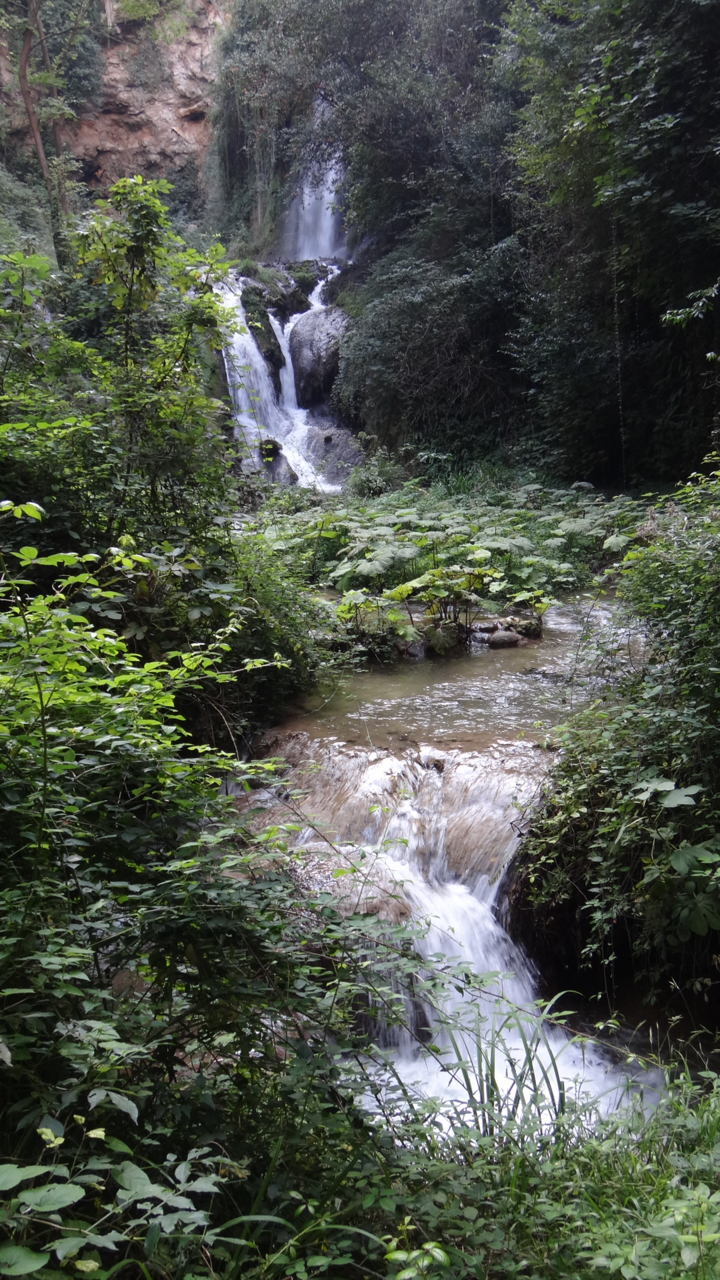 f:id:yamak:20110527092705j:image:h300