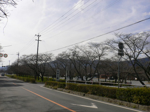イメージ 14