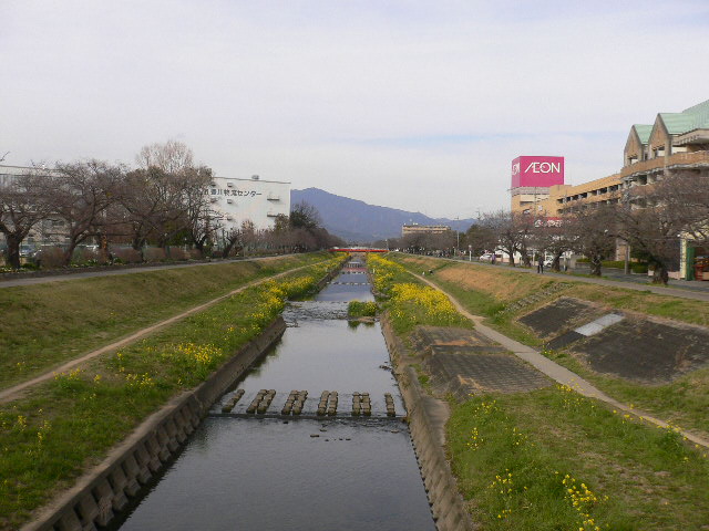 イメージ 15