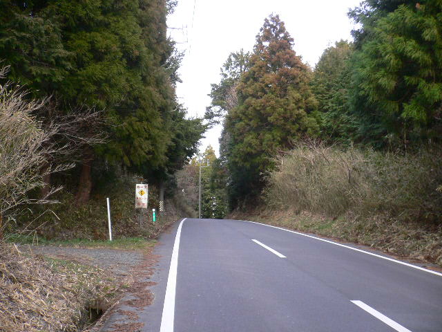 イメージ 16