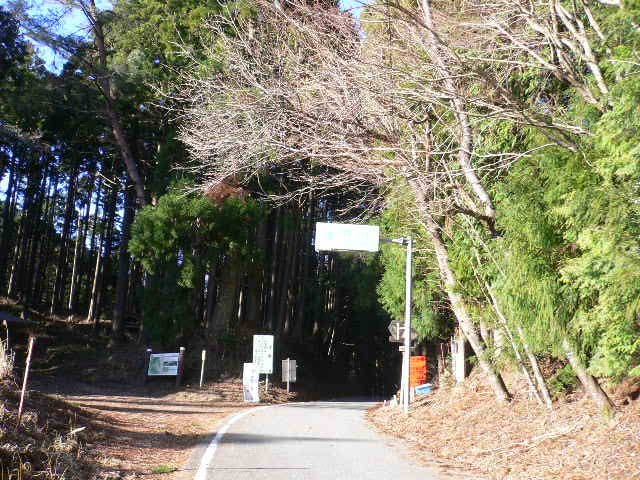 イメージ 5