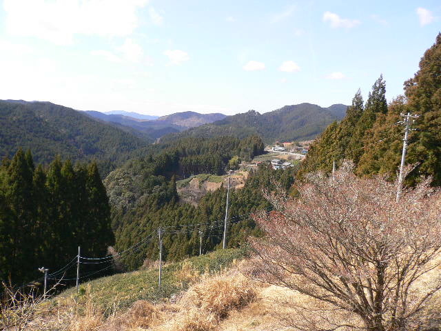 イメージ 8