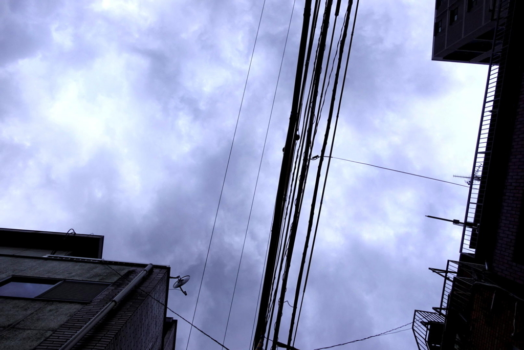 f:id:yamaki_nyx:20180623014531j:plain f:id:yamaki_nyx:20180623014531j:plain