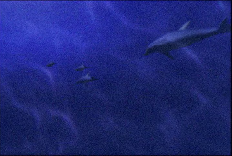 f:id:yamaki_nyx:20180623214837p:plain