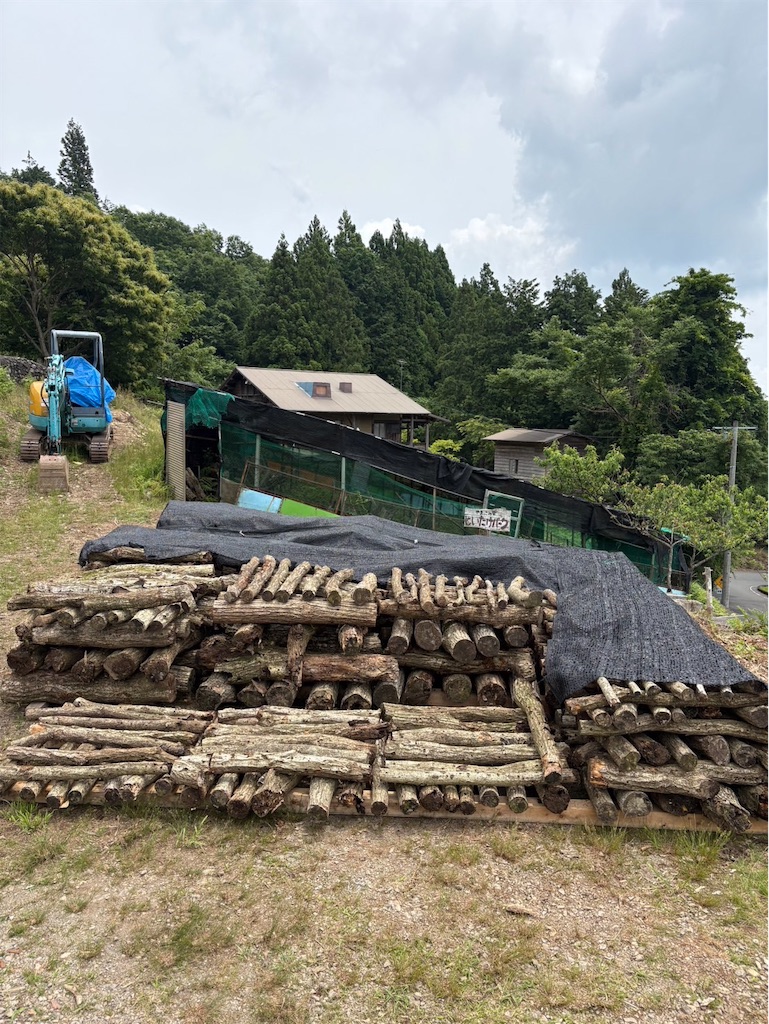 f:id:yamakkonoie:20260703065312j:image f:id:yamakkonoie:20260703065312j:image