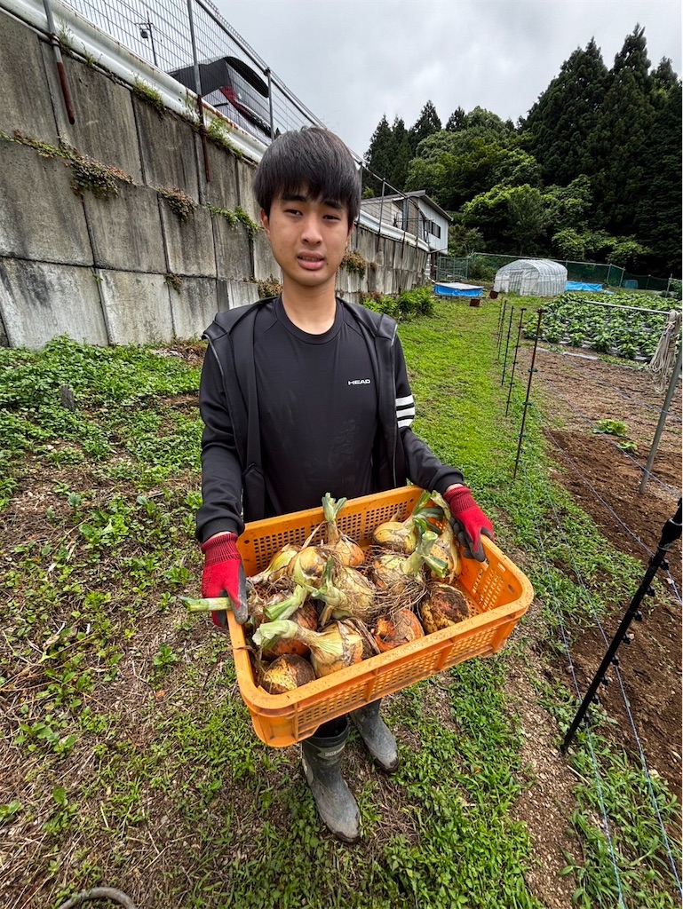 f:id:yamakkonoie:20260703065324j:image f:id:yamakkonoie:20260703065324j:image