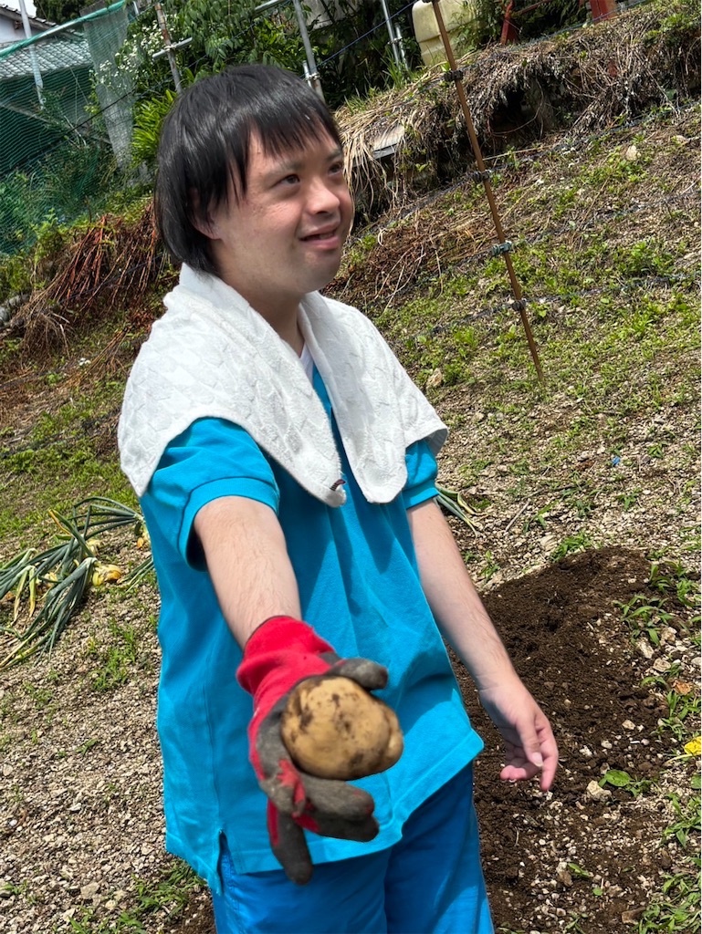 f:id:yamakkonoie:20260703065330j:image f:id:yamakkonoie:20260703065330j:image