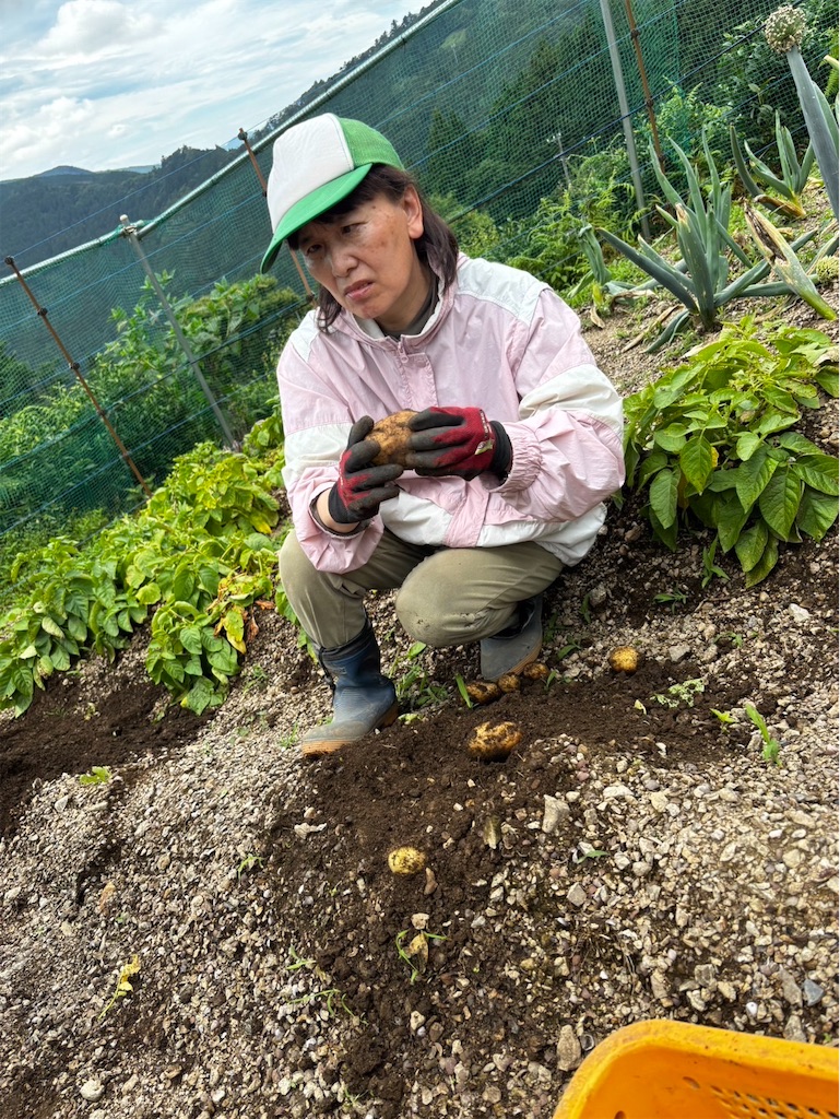 f:id:yamakkonoie:20260703065340j:image f:id:yamakkonoie:20260703065340j:image