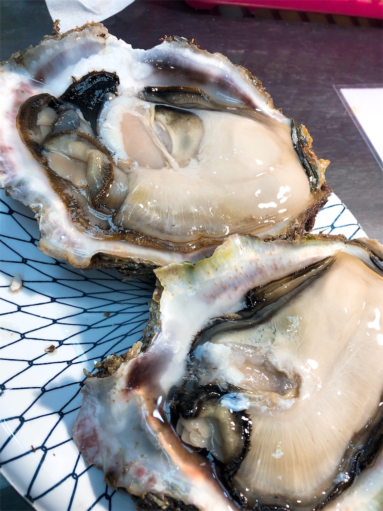 f:id:yamako8712:20190520142534j:image f:id:yamako8712:20190520142534j:image