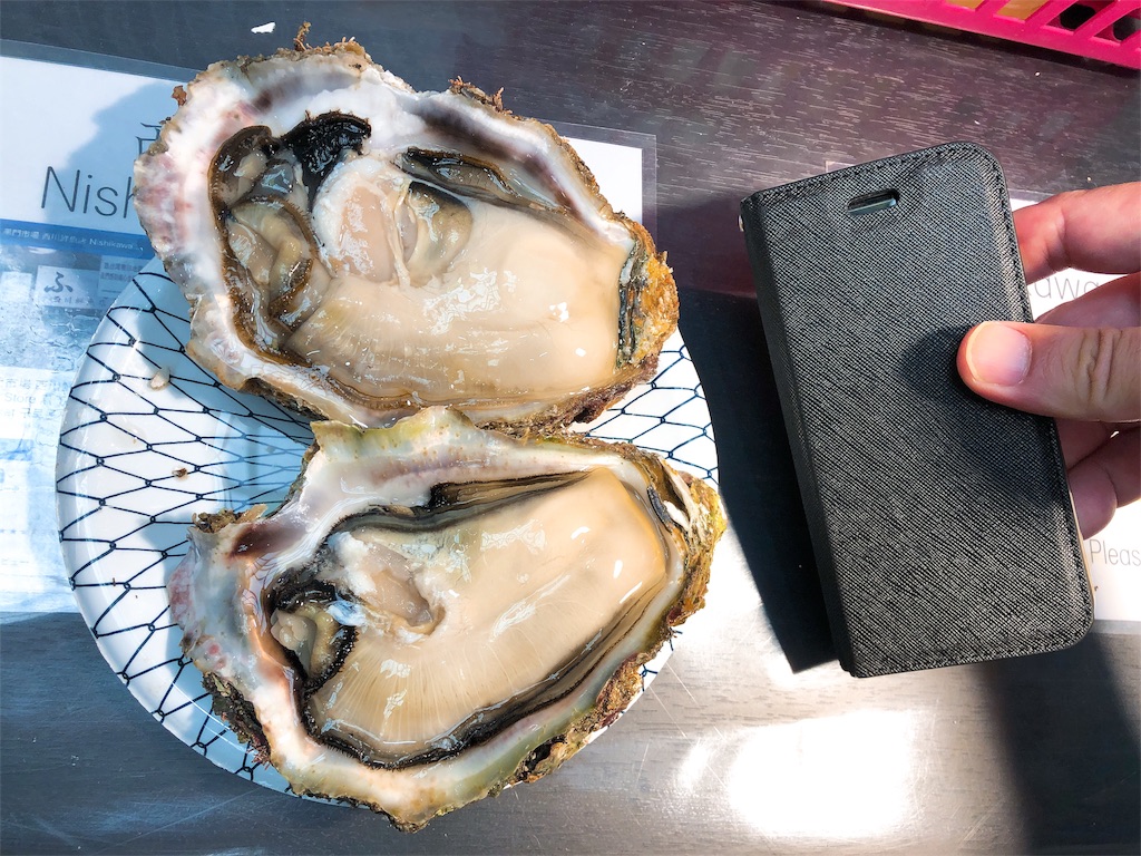 f:id:yamako8712:20190520142548j:image