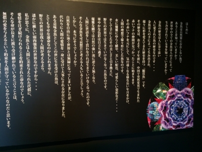 f:id:yamama48:20150719180337j:plain f:id:yamama48:20150719180337j:plain