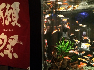 f:id:yamama48:20150719180351j:plain f:id:yamama48:20150719180351j:plain