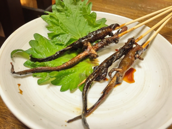 朝起 サンショウウオ