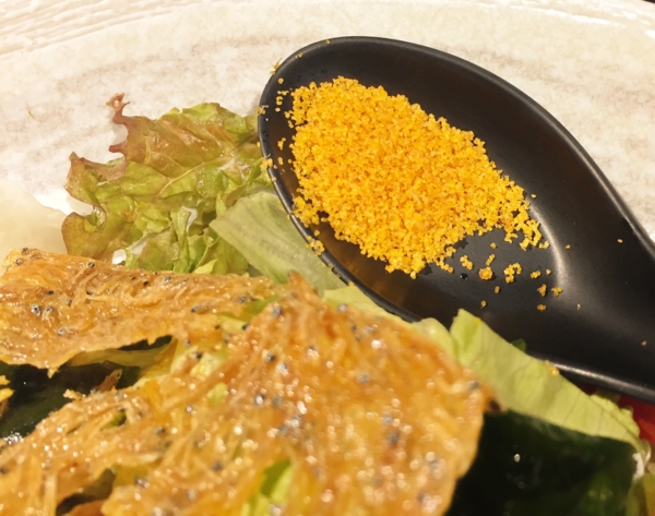 魚バカ一代