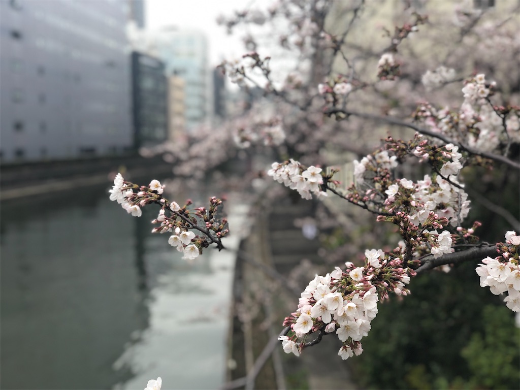 f:id:yamama48:20200401203702j:image f:id:yamama48:20200401203702j:image