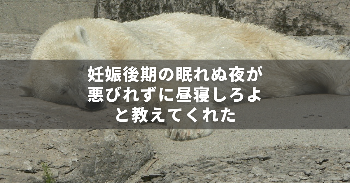 妊娠後期は眠れない！積極的に昼寝することに罪悪感を持つべからず