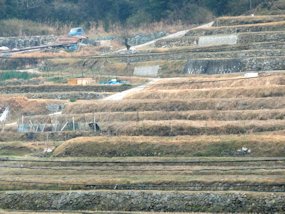 f:id:yamamayuga:20160308091321j:plain